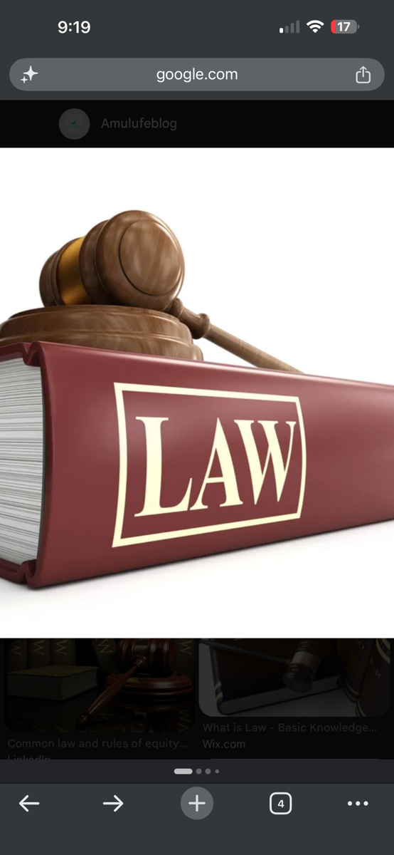 Law consultation Service